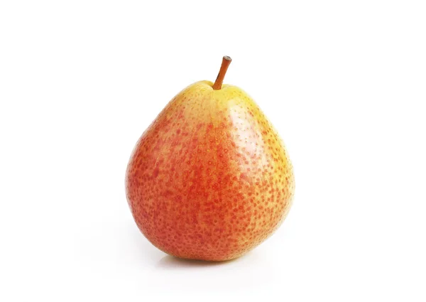 Single pear — Stock Photo, Image