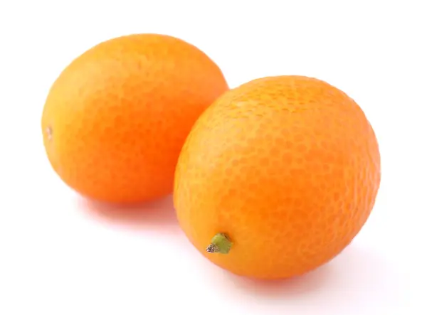 Kamkat citrus — Stok fotoğraf