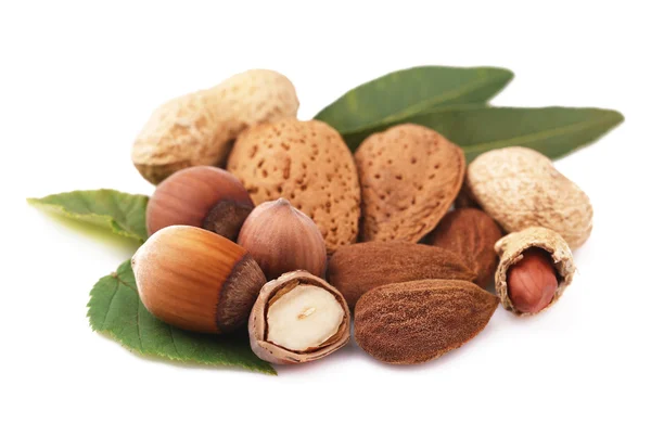 Assorted nuts isolated — Stock Photo, Image