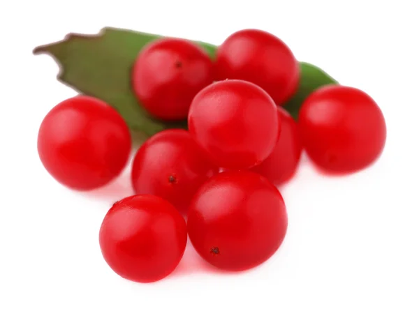 Ripe red cranberries — Stock Photo, Image