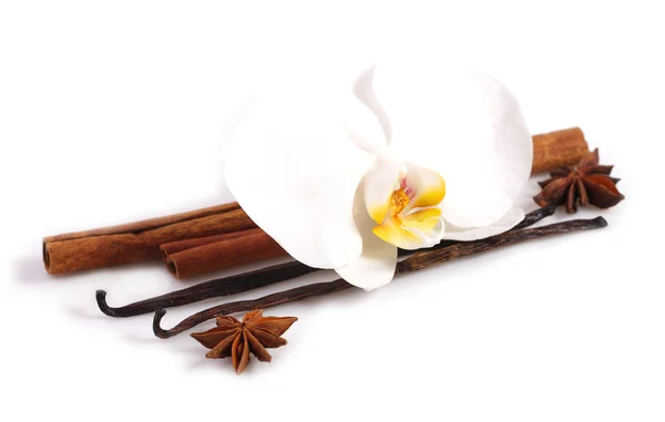 Vanilla stick with orchid flower. — Stock Photo, Image