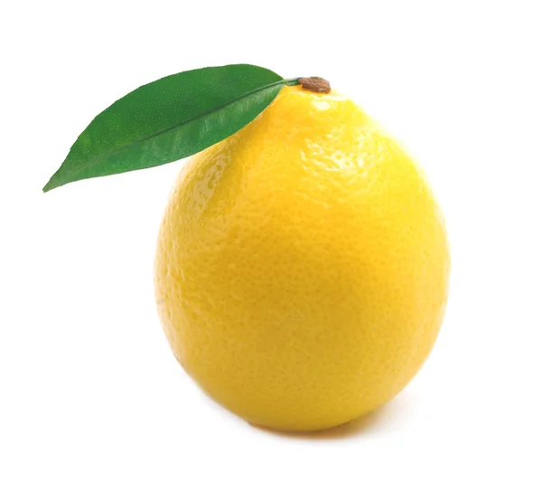 Ripe lemon isolated. — Stock Photo, Image