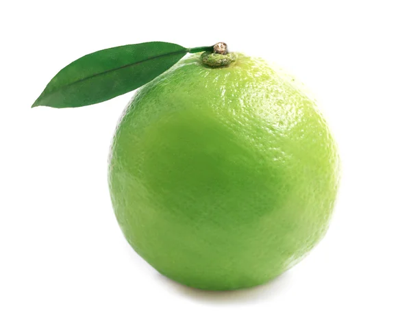 Ripe lime isolated on a white . — Stock Photo, Image
