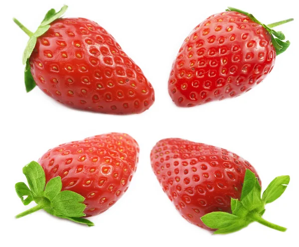 Reife Erdbeere isoliert. — Stockfoto