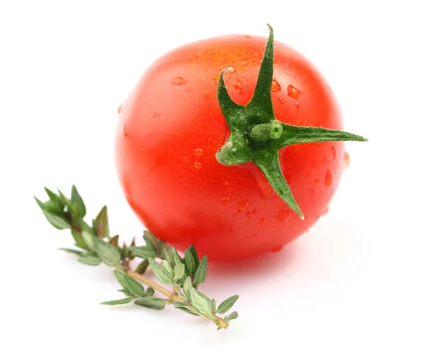 Ripe tomato isolated. — Stock Photo, Image