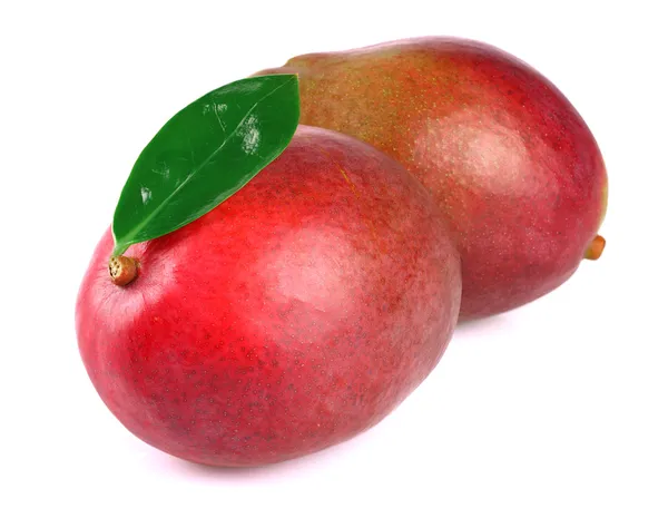 Mango med blad på hvid - Stock-foto