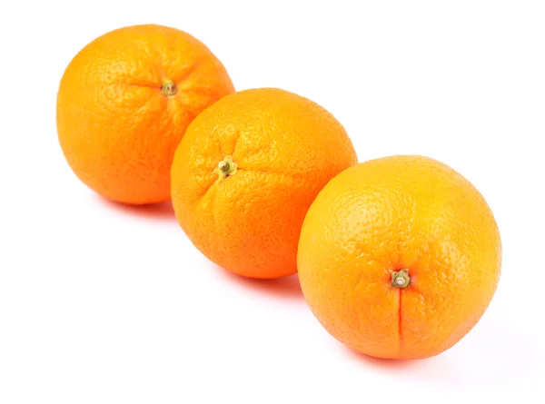 Olgunlaşmış bir beyaz turuncu — Stok fotoğraf