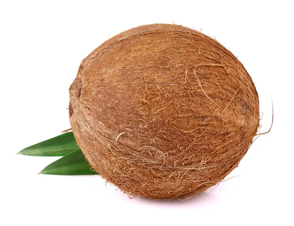 Kokosnuss mit Blättern auf einem weißen — Stockfoto