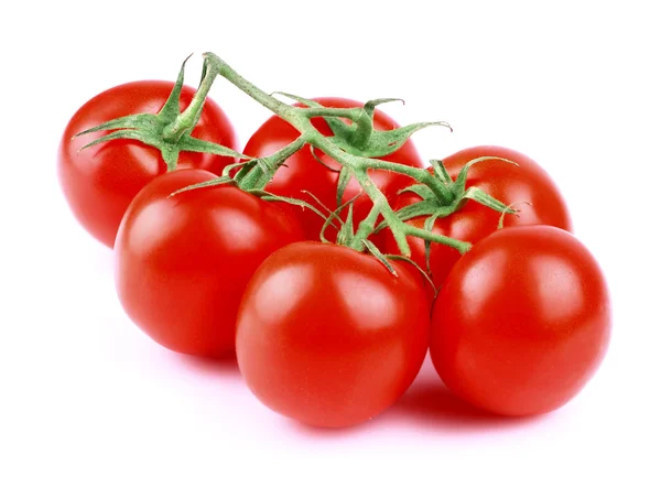 Tomatenzweig isoliert auf weiß. — Stockfoto