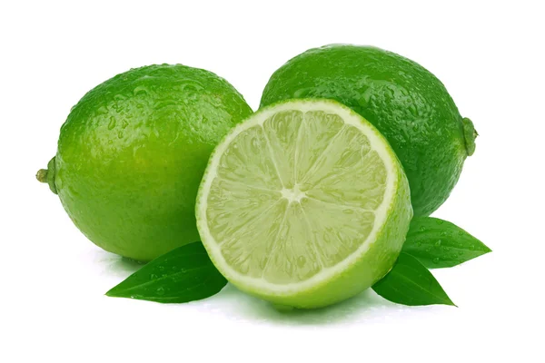 Ripe lime on white background — Stock Photo, Image