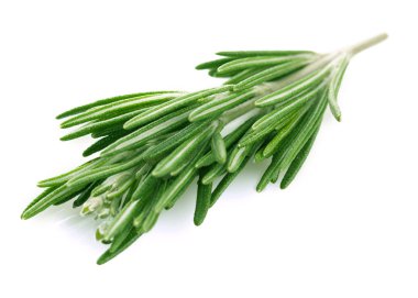 Biberiye beyazda izole edilmiş 