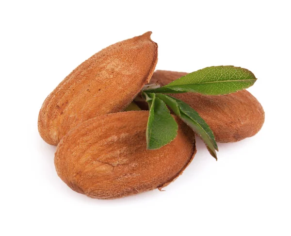 Almonds on white — Stock Photo, Image