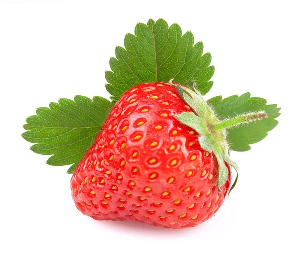 Reife Erdbeere isoliert auf Weiß — Stockfoto