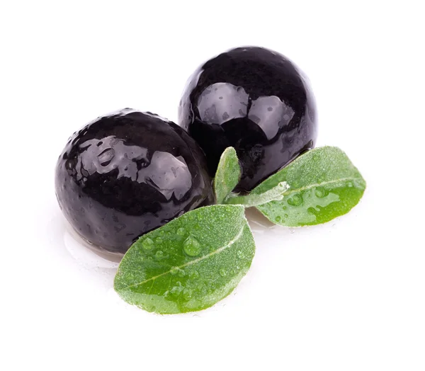 Ripe olives with a sprig — Stock Photo, Image