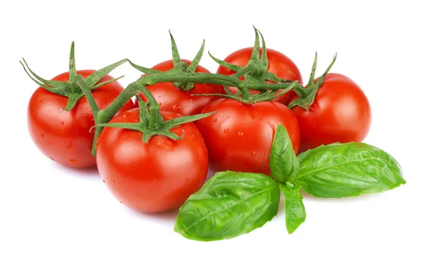 Ripe tomatoes and basil — Stock Photo, Image