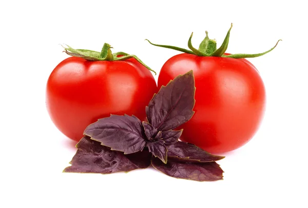 Tomato and basil. — Stock Photo, Image