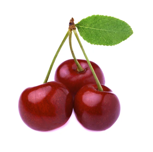 Сочные сочные вишни — стоковое фото