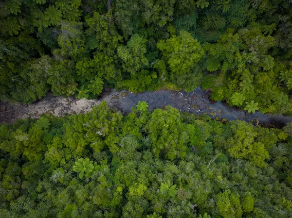 Rio Floresta Selvagem Vista Vista Aérea Drone — Fotografia de Stock