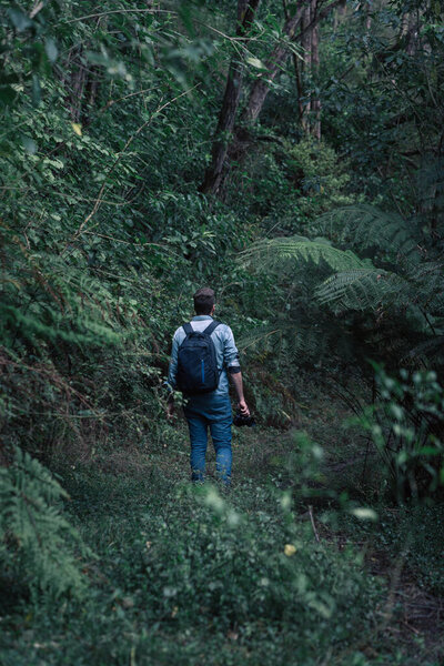 Man walking among the rainforest while holding his camera in the hand. Vertical photo. Unrecognizable person