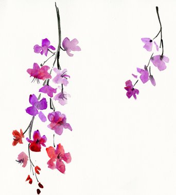 taze pembe çiçekli çiçekli dal. suluboya