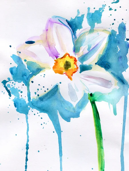 Fiore di narciso — Foto Stock