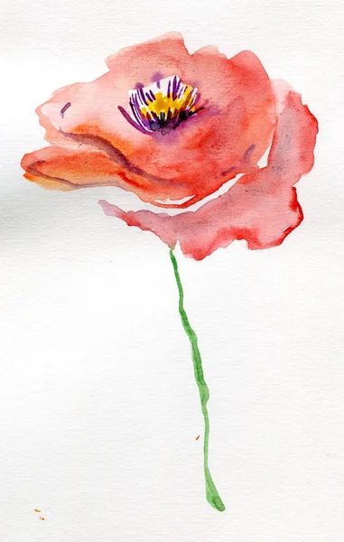 Blomma, akvarell — Stockfoto