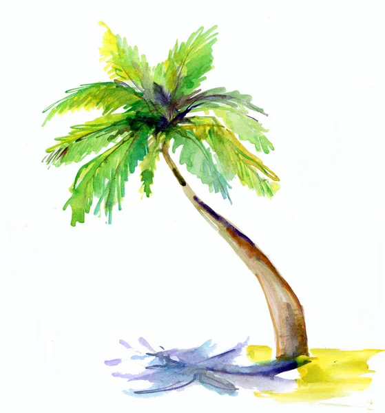 Palmera Acuarela Pintura —  Fotos de Stock