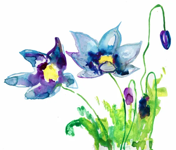Niebieski kwiat akwarela — Zdjęcie stockowe