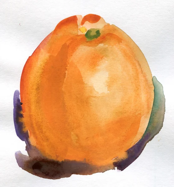 Aquarelle orange fruit — Photo