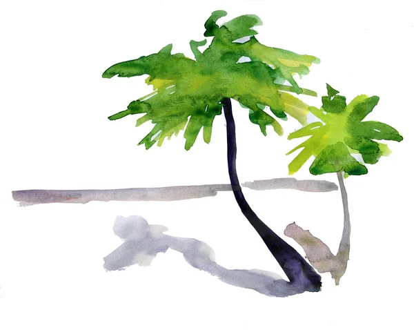 Palm Tree. watercolor painting. — Stock Photo, Image