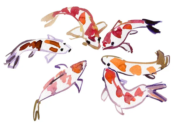 Aquarell Koi Schwimmen — Stockfoto