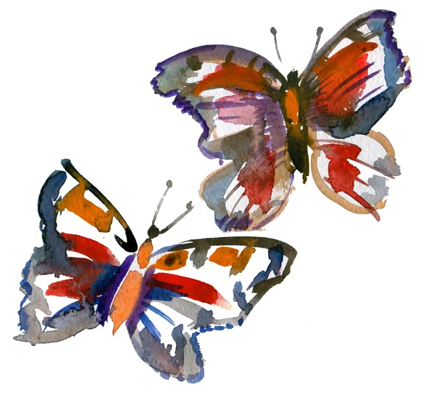 Delicate butterfly hand painted. — Stock Photo, Image