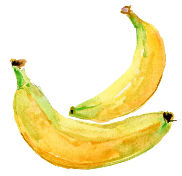 Dwa banany. akwarela na białym tle — Zdjęcie stockowe