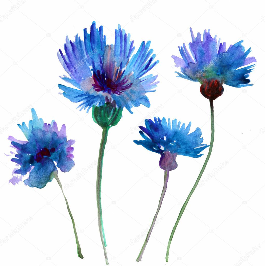 Abstract Watercolor Vintage Hand Painted Backgrounds Blue Flowers