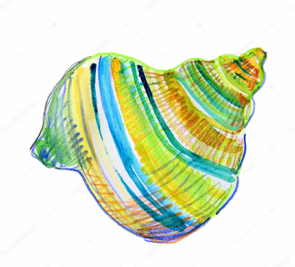 Seashell Isolated on White Background. watercolor