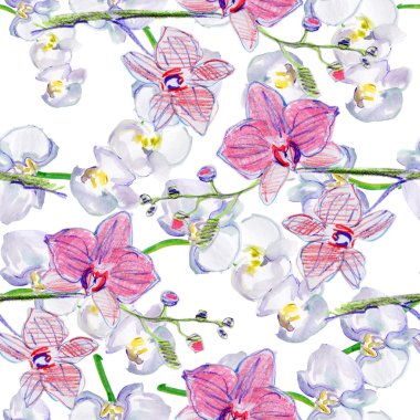 Orkide ile Seamless Modeli