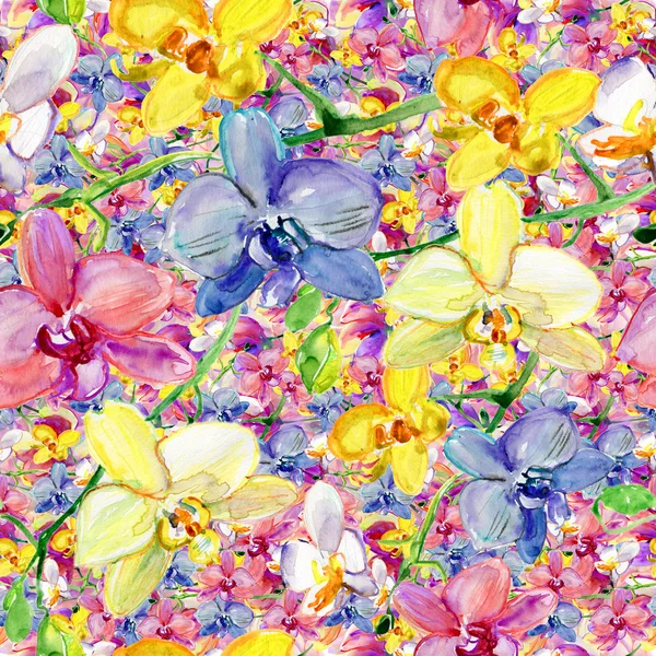 Fiori variopinti dei orchids, illustrazione senza cuciture dell'acquerello — Foto Stock