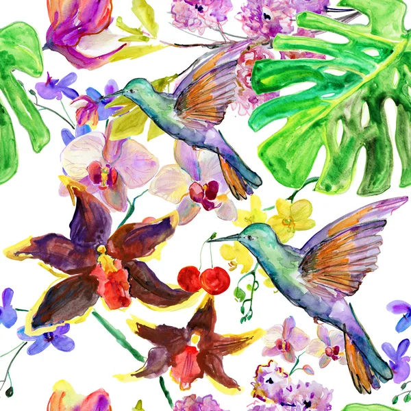 Flores de orquídeas coloridas, ilustração sem emenda aquarela — Fotografia de Stock