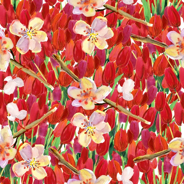 郁金香花朵与春天无缝壁纸 — 图库照片