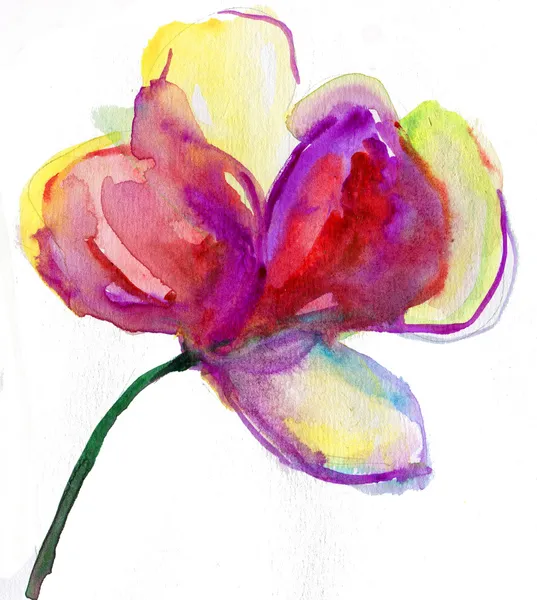 Painted watercolor orchids — Stock Photo, Image