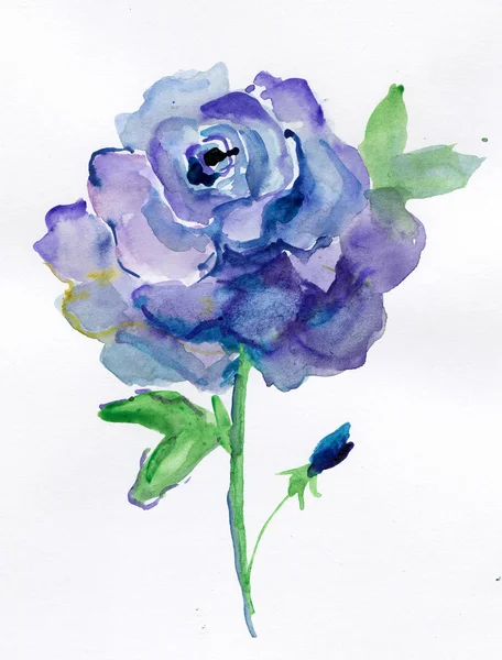 Niebieska róża na białym tle na białym tle. akwarela — Zdjęcie stockowe