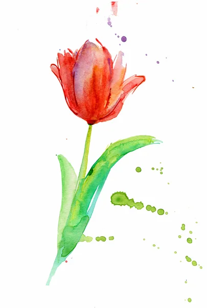 Flower, watercolor — Stock Photo, Image