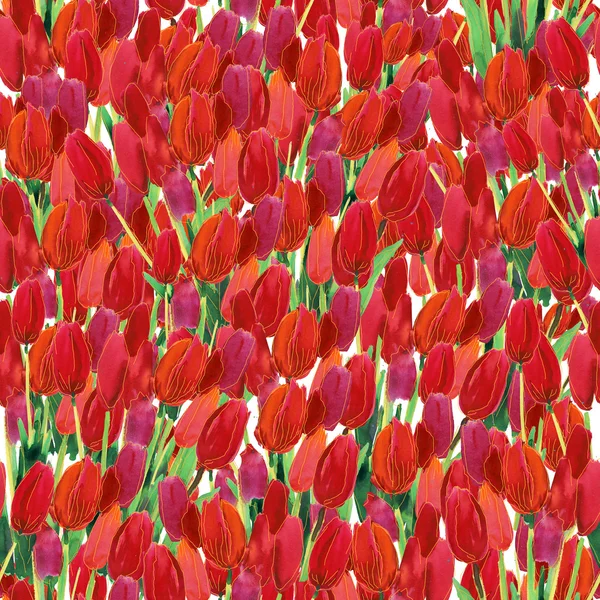 Spring seamless wallpaper with Tulips flowers — Stock Photo, Image