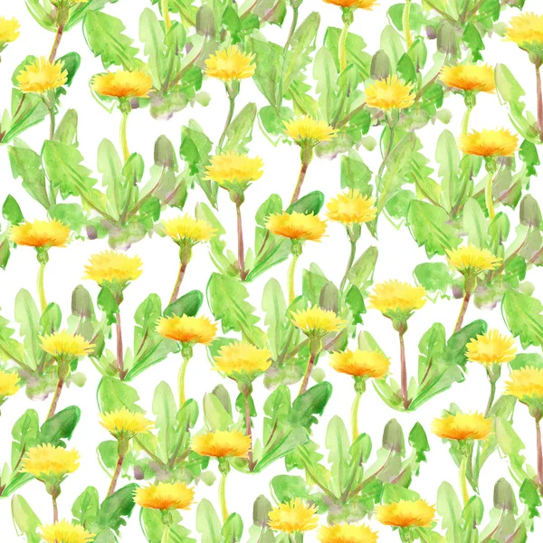 Seamless pattern with dandelions. Watercolor. — Stok fotoğraf