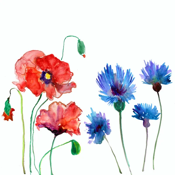 Akvarell háttér virágokkal — Stock Fotó
