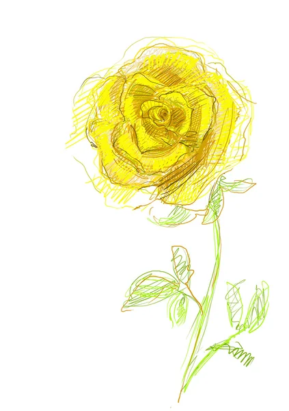 Yellow rose. watercolor — Stock Photo, Image