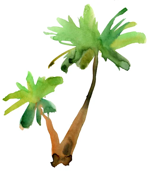 Palme Aquarellmalerei — Stockfoto