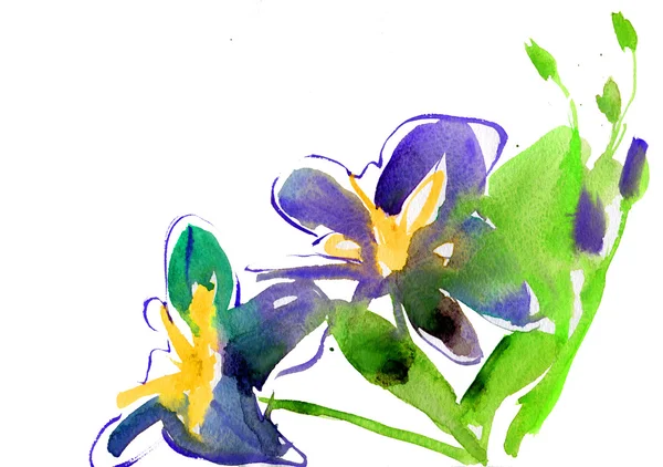 Poppy jaune coloré, illustration aquarelle — Photo