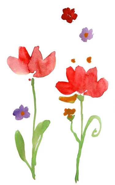 Floral watercolor illustration of poppie flowers for card design. — Stock Photo, Image