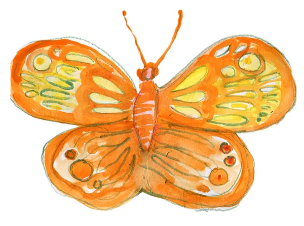 Watercolor butterfly — Stock Photo, Image